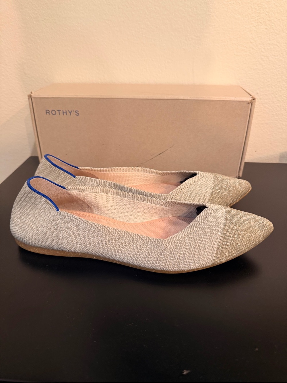 Rothy's Women's Pointed Flats in Diamond Metallic Size 10.5